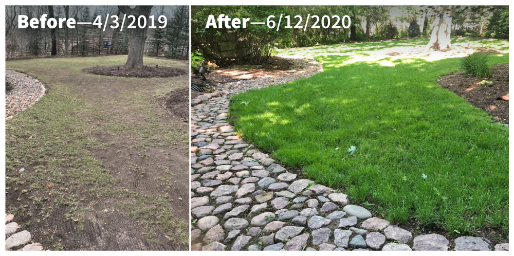 Conserv FS Super Shady Grass - Before and After Photos
