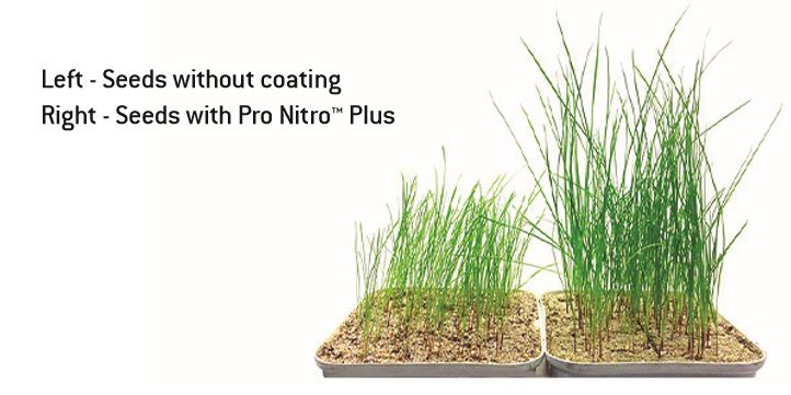 ProNitro_Graphic_2
