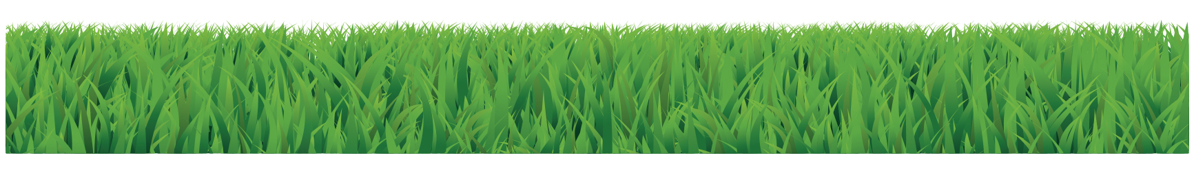 Pro_Grass
